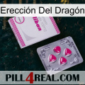 Erección Del Dragón 32